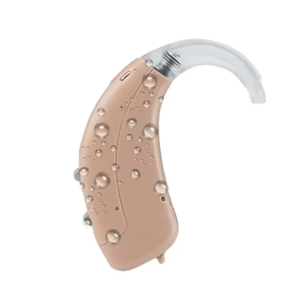 Rexton Arena P1 - Pilas - Imagen 3